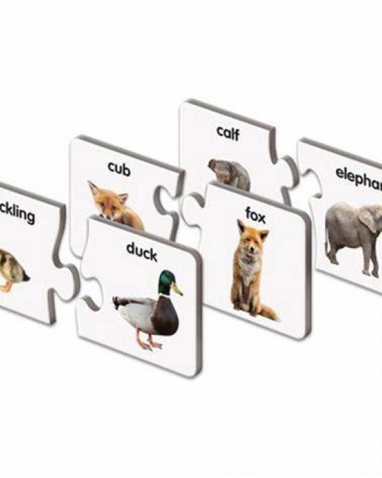 Animal Words & Families